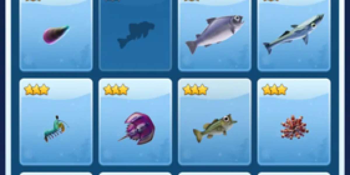 Fishing Tournament Overview - Monthly Prizes & Seasons