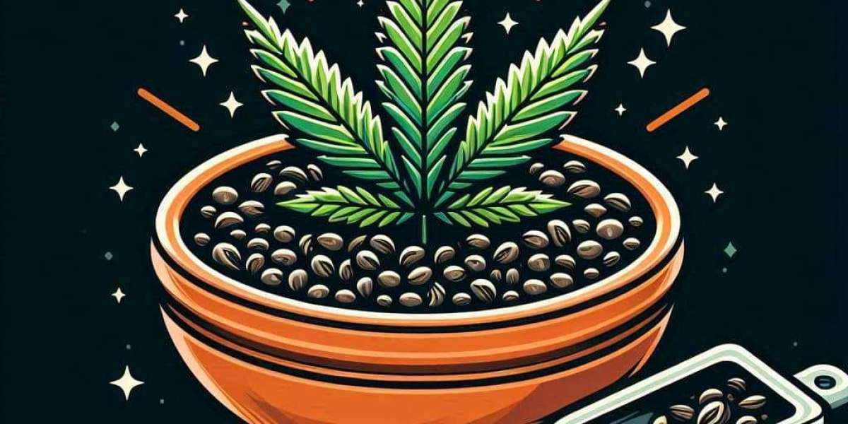 The Jack Herer Cannabis Strain: A Fast-Growing Legend