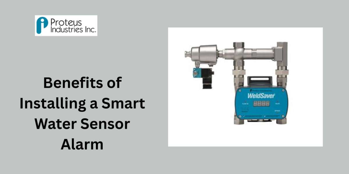 Benefits of Installing a Smart Water Sensor Alarm