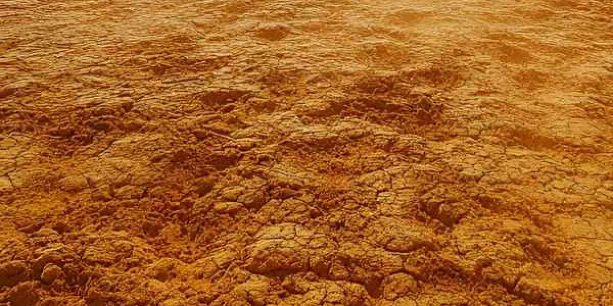 The causes of tank floor instability treatment and professional settlement repair treatment plans