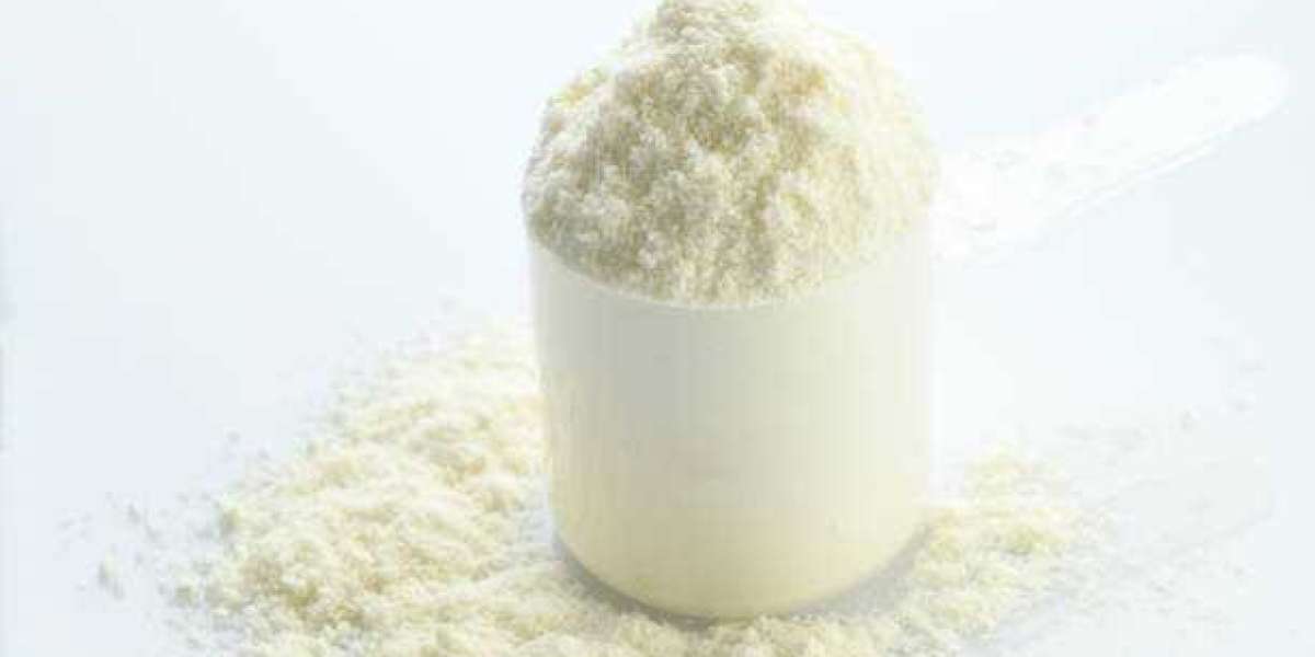 Can Skim Milk Powder Retain Its Relevance in an Era of Dairy Disruption?